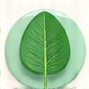 Leaf and soap bubble icon.